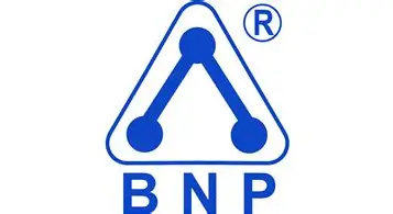 BNP
