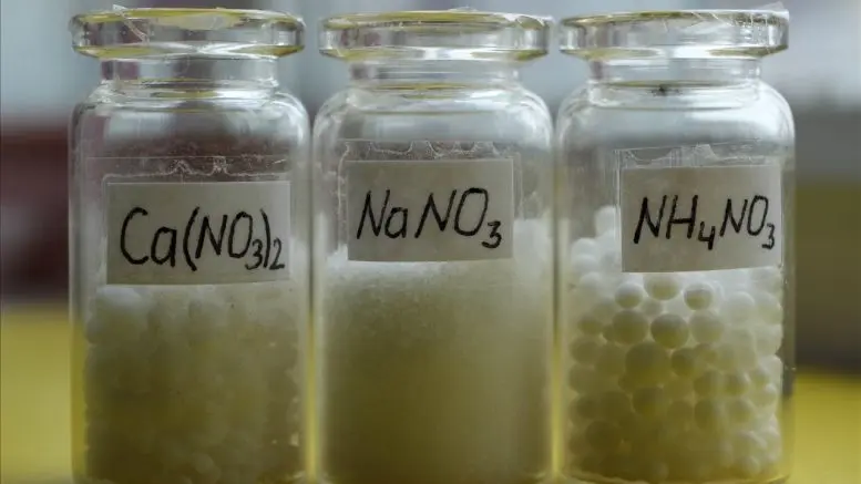 Денитрификация